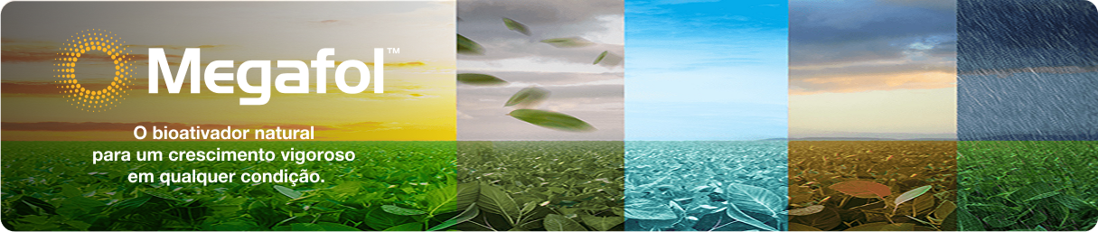 BANNER PRODUTO MEGAFOL