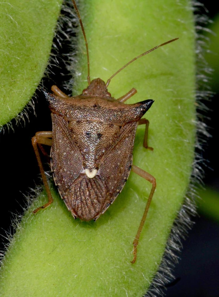 image-ff1ef685-348b-414c-85cd-a014d167736a[1]